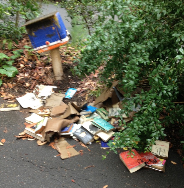 Little Library - December 2014
