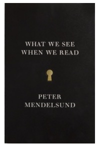 What We See When We Read by Peter Mendelsund