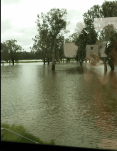 Flooded Murray River near Albury