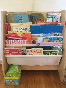 Anna Cowan's picture book shelves