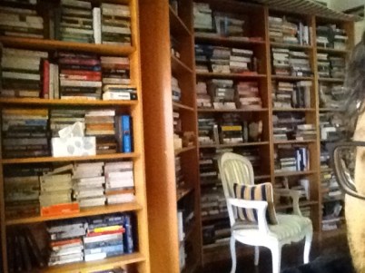 A room full of books with the side of Allyn's face in the corner of the photograph