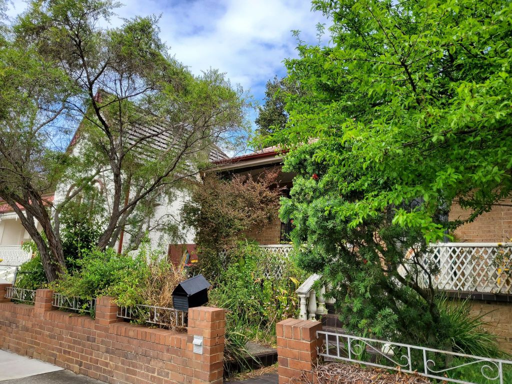 The front of my house with trees and a view of the gutter.