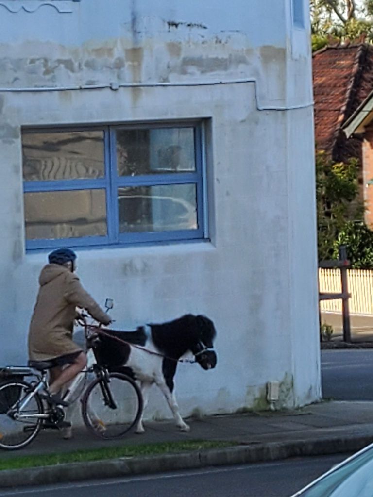 Older man on a bike, bare legs, pony reigns in hand outside of a dirty/mouldy blue building.