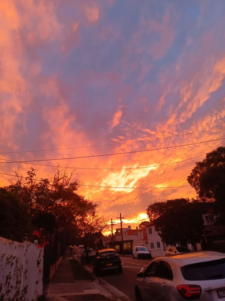 The bottom of tge photograph has trees, above the sky is fiery orange streaks merging into a blue-purple sky.